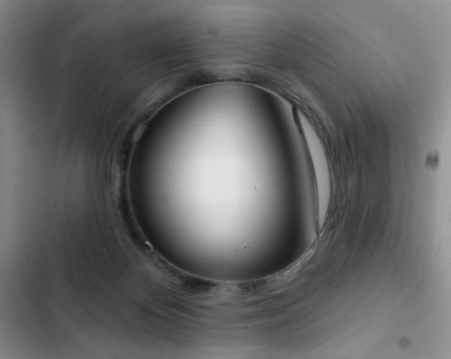 X0000102850124200808181427