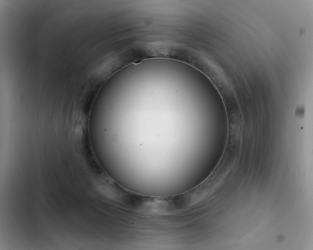 X0000102850125200808181427