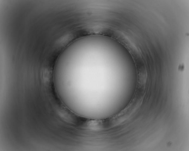 X0000102850126200808181427