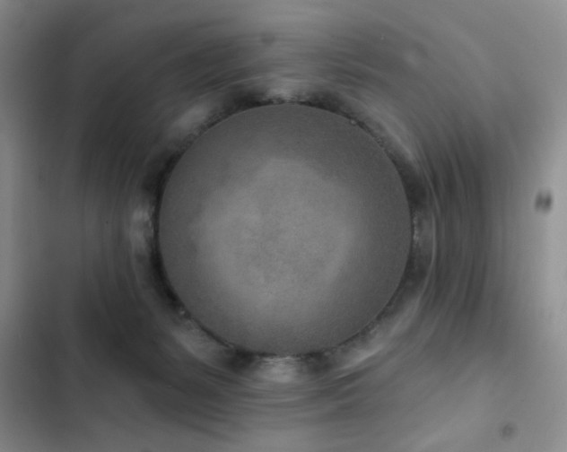 X0000102850127200808181427