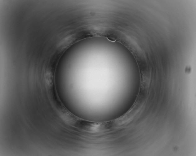 X0000102850130200808181427