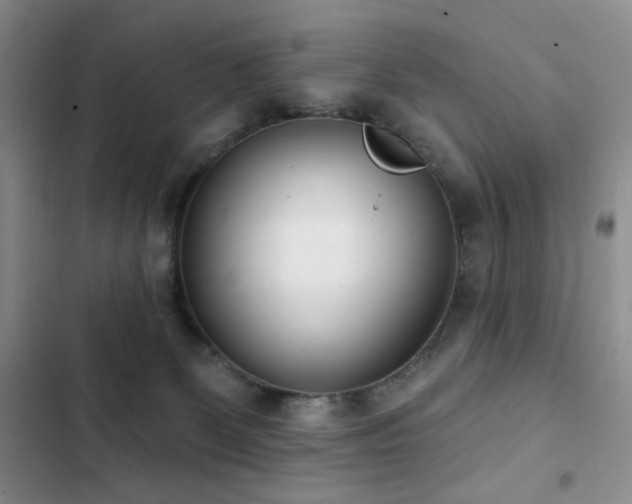 X0000102850131200808181427