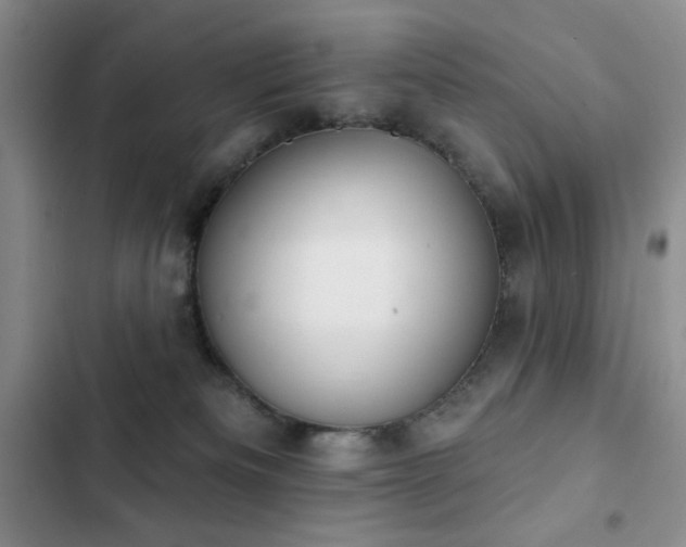 X0000102850133200808181427