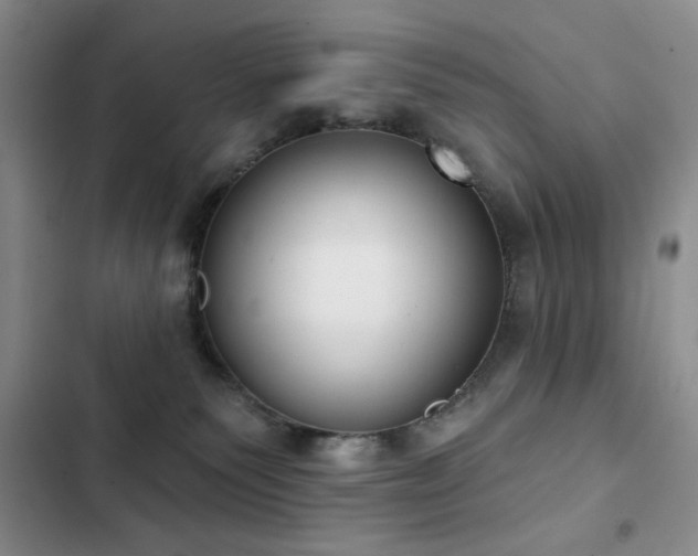 X0000102850135200808181426