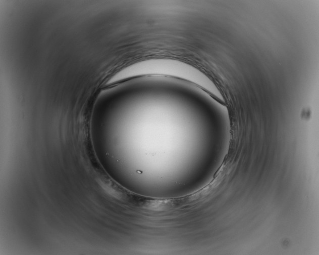 X0000102850136200808181426