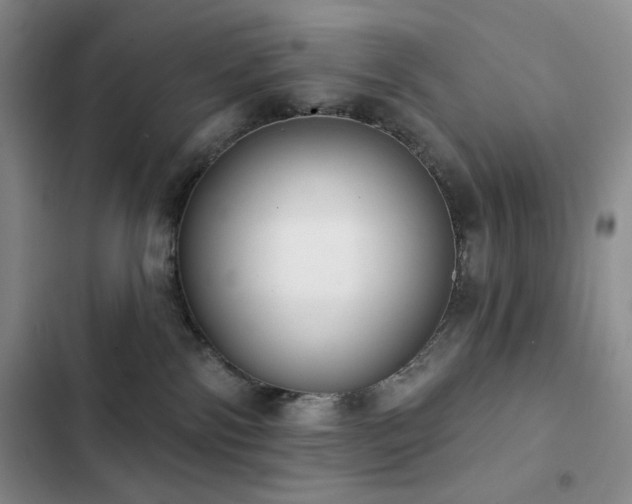 X0000102850138200808181426