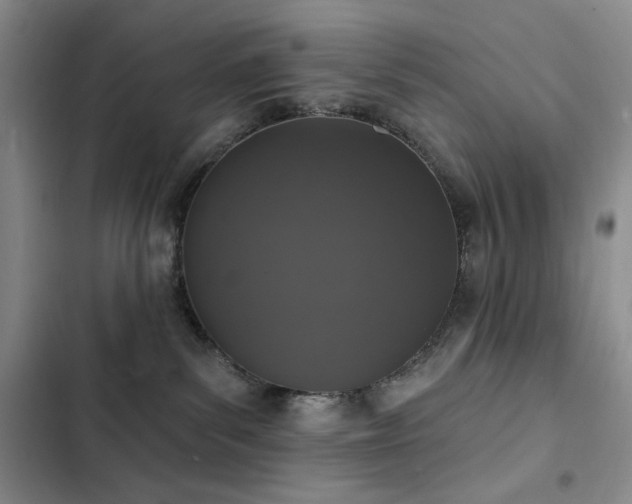 X0000102850139200808181426