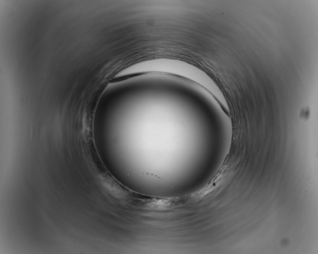 X0000102850140200808181426