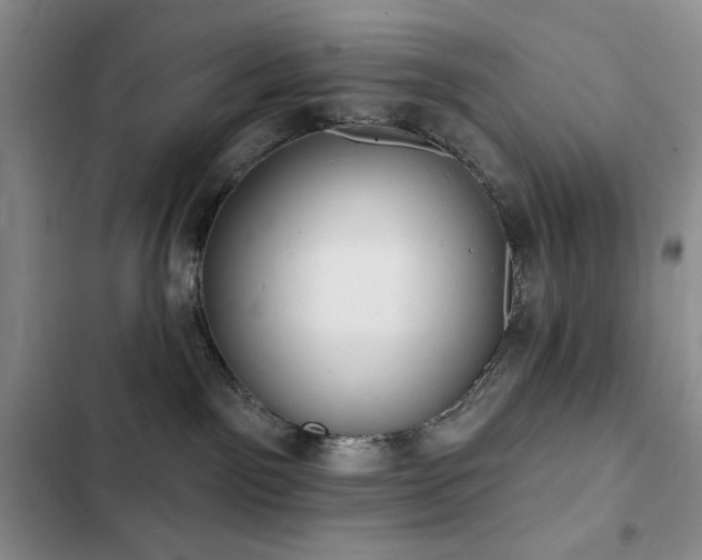 X0000102850141200808181426