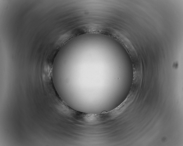 X0000102850142200808181426