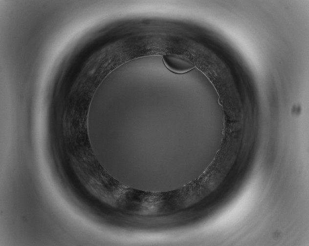 X0000102850143200808181426