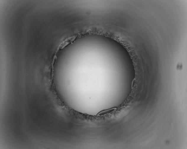 X0000102850144200808181426