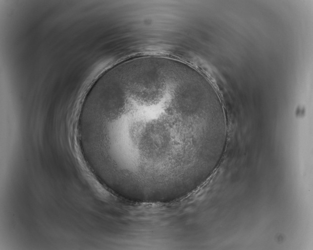 X0000102850145200808181425