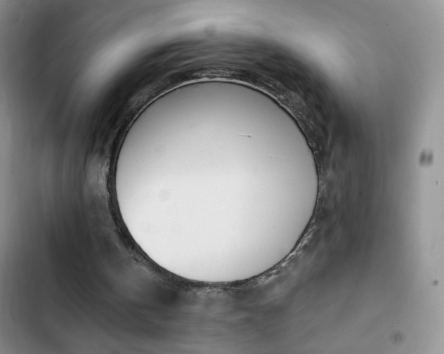 X0000102850146200808181425
