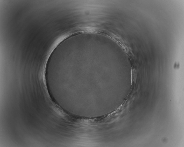 X0000102850147200808181425