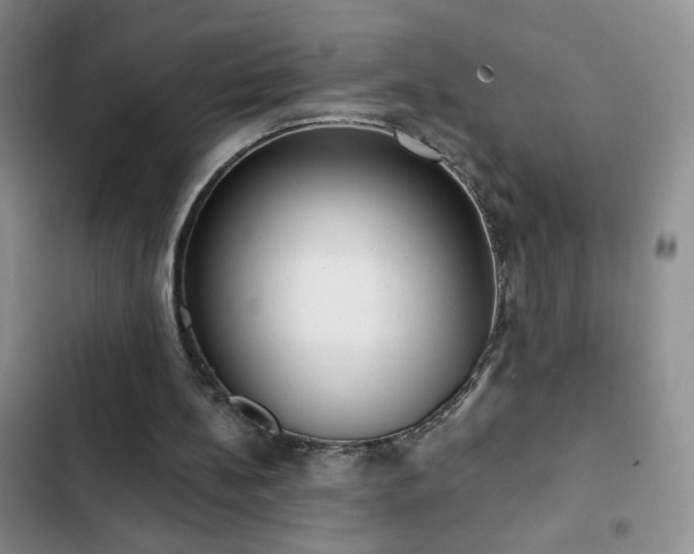 X0000102850148200808181425