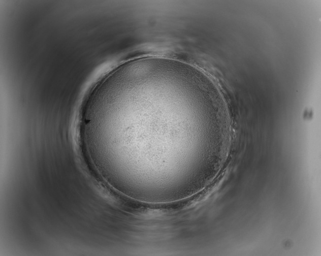 X0000102850149200808181426