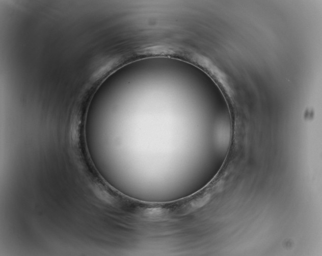 X0000102850153200808181426