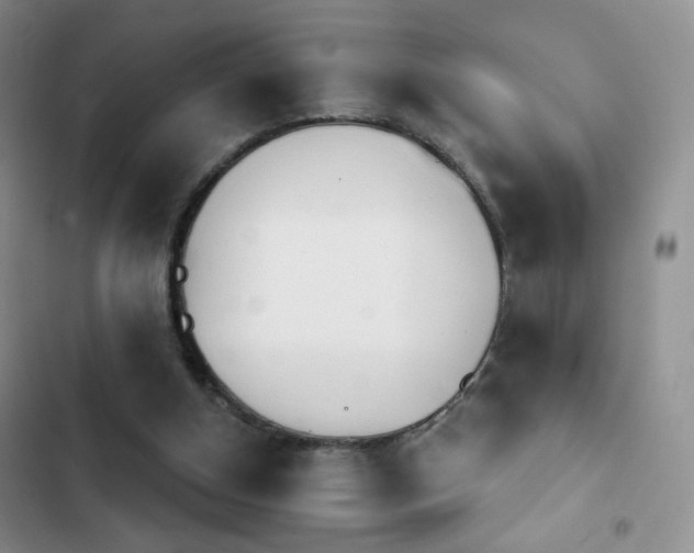 X0000102850154200808181426