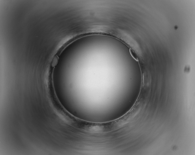 X0000102850156200808181426