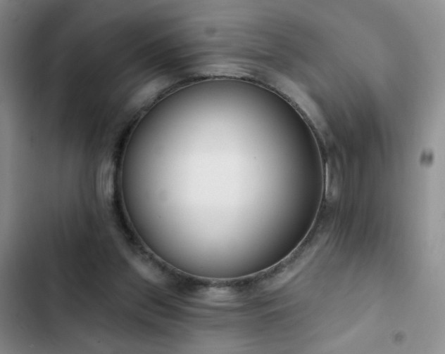 X0000102850157200808181426