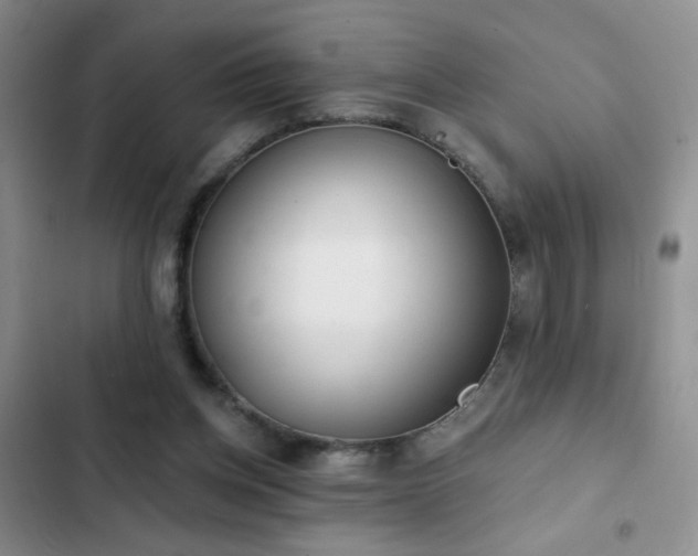 X0000102850158200808181426