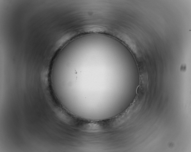 X0000102850159200808181426
