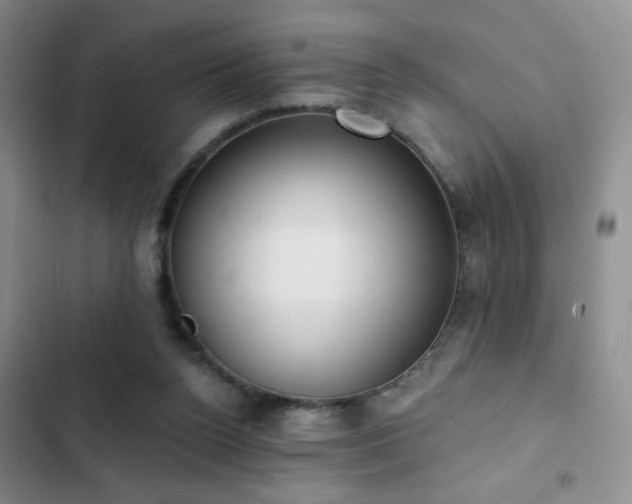 X0000102850160200808181426