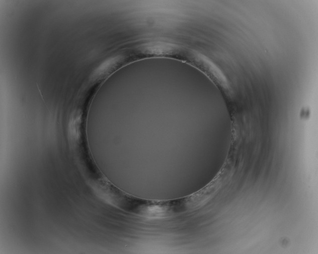 X0000102850163200808181426