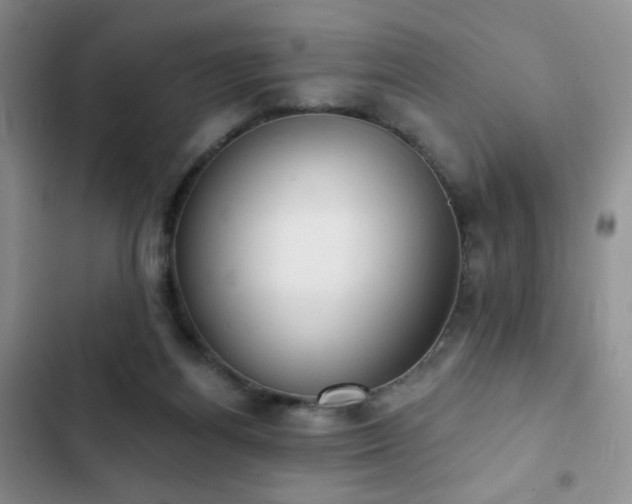X0000102850164200808181426