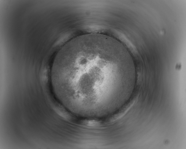 X0000102850165200808181426