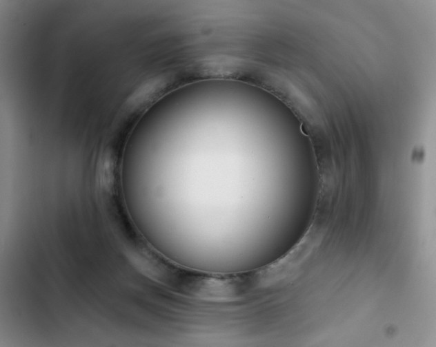 X0000102850166200808181426