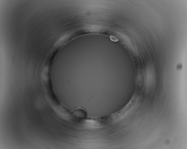 X0000102850167200808181426