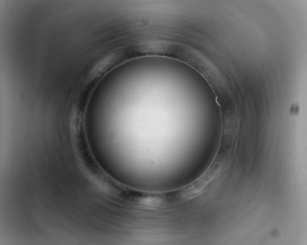 X0000102850168200808181426