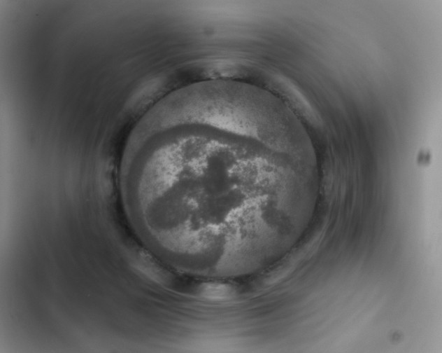 X0000102850169200808181426