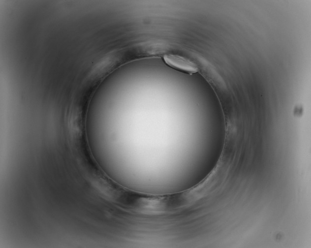 X0000102850170200808181426