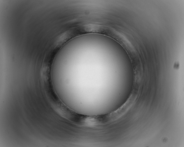 X0000102850171200808181426