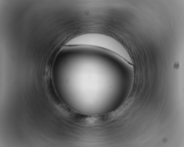 X0000102850172200808181426