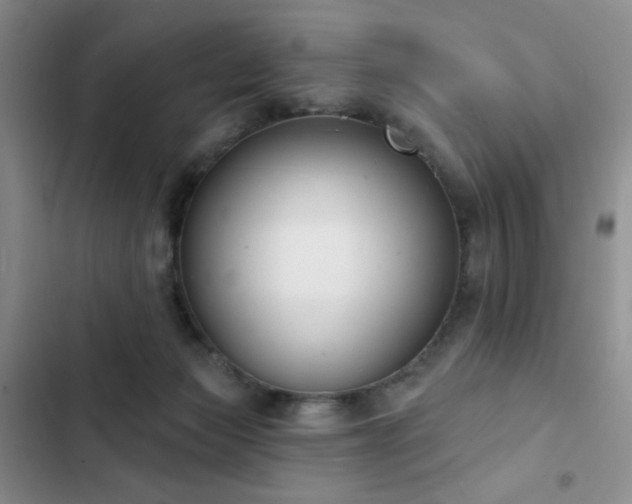 X0000102850173200808181426