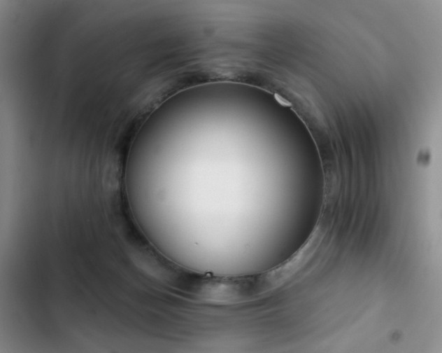 X0000102850174200808181426