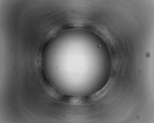 X0000102850175200808181426