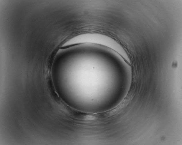 X0000102850176200808181426