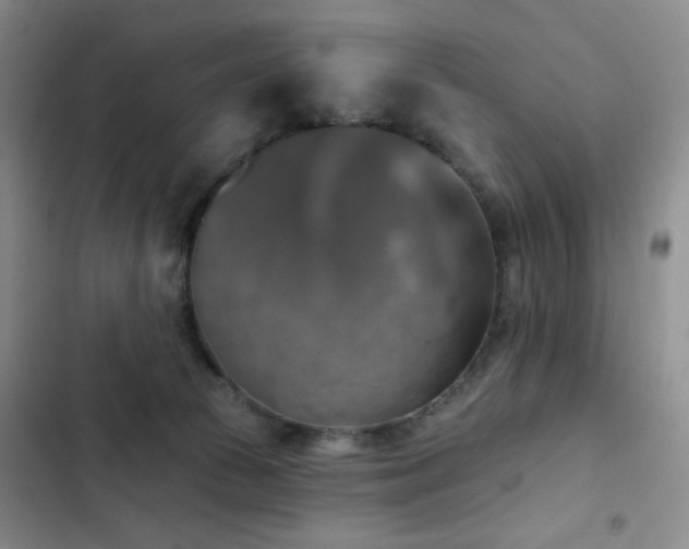X0000102850177200808181426
