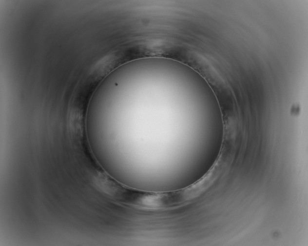 X0000102850178200808181426