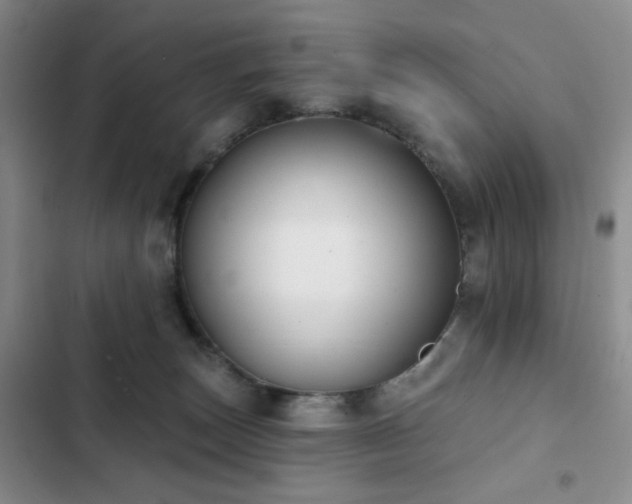 X0000102850179200808181426