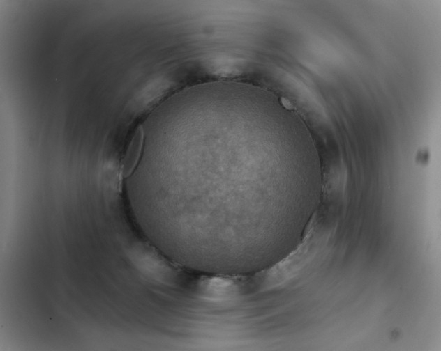 X0000102850180200808181426