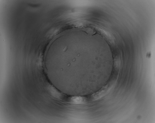 X0000102850181200808181426