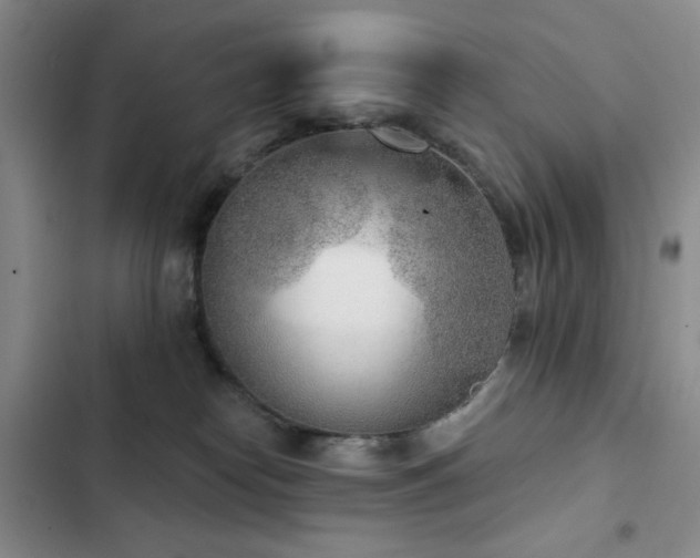 X0000102850182200808181426