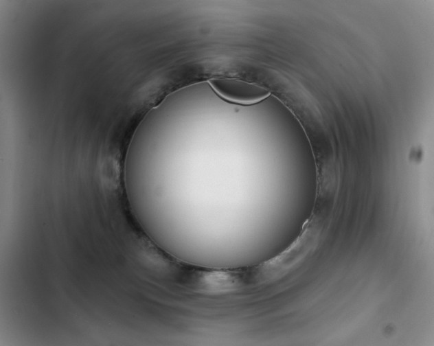 X0000102850183200808181426
