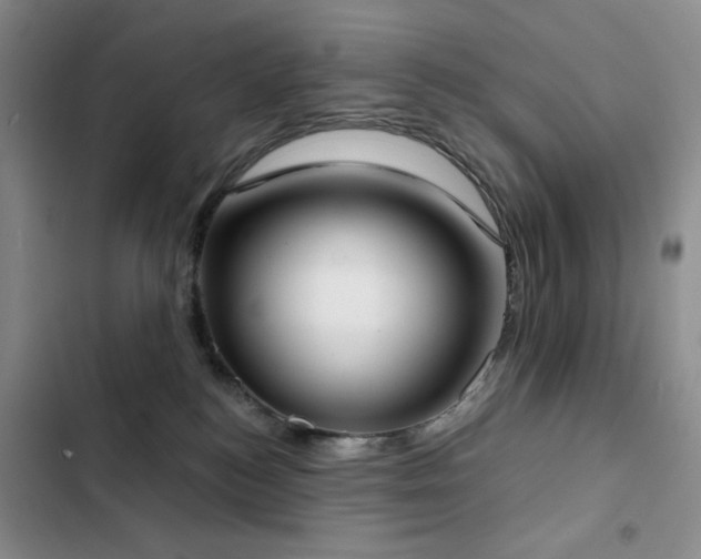 X0000102850184200808181426
